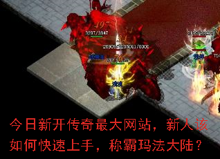 今日新开传奇最大网站,新人该如何快速上手,称霸玛法大陆? 今日新开传奇最大网站,新人该如何快速上手,称霸玛法大陆?