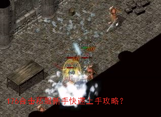 176合击私服新手快速上手攻略? 176合击私服新手快速上手攻略?