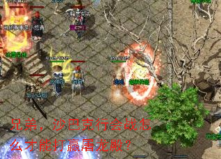 兄弟,沙巴克行会战怎么才能打赢屠龙殿? 兄弟,沙巴克行会战怎么才能打赢屠龙殿?