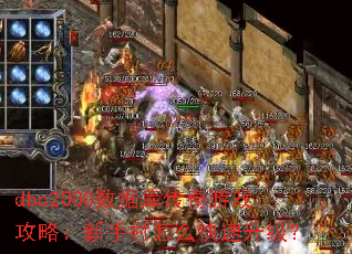 dbc2000数据库传奇游戏攻略:新手村怎么快速升级? dbc2000数据库传奇游戏攻略:新手村怎么快速升级?