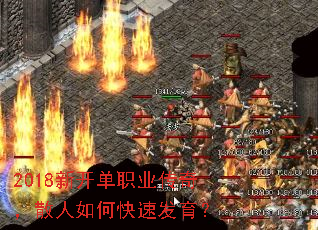 2018�¿���ְҵ���棬ɢ����ο��ٷ�����