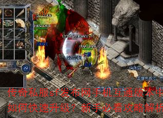 ����˽��sf�������ֻ���ͨ�汾����ο������������ֱؿ����Խ���