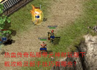 热血传奇私服带元神耐玩版下载攻略及新手技巧有哪些? 热血传奇私服带元神耐玩版下载攻略及新手技巧有哪些?