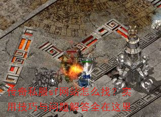 ����˽��sf��վ��ô�ң�ʵ�ü�����������ȫ������