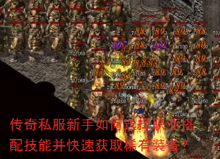 传奇私服新手如何选择职业搭配技能并快速获取稀有装备? 传奇私服新手如何选择职业搭配技能并快速获取稀有装备?