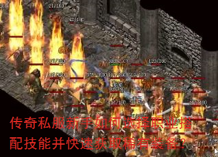 ����˽���������ѡ��ְҵ���似�ܲ����ٻ�ȡϡ��װ����