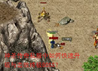 ��ʥ����˽������ο�������������ռ�BOSS��