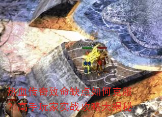 ��Ѫ��������ȱ����ο˷����������ʵս���Դ����