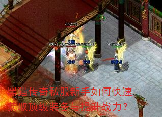 黑猫传奇私服新手如何快速获取顶级装备与提升战力? 黑猫传奇私服新手如何快速获取顶级装备与提升战力?
