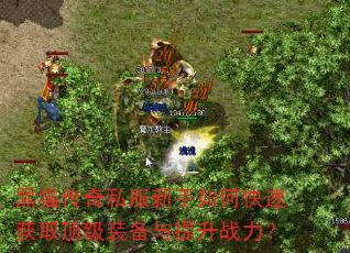 黑猫传奇私服新手如何快速获取顶级装备与提升战力? 黑猫传奇私服新手如何快速获取顶级装备与提升战力?
