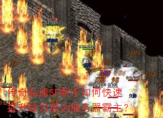 传奇私服SF新手如何快速提升战力成为服务器霸主? 传奇私服SF新手如何快速提升战力成为服务器霸主?