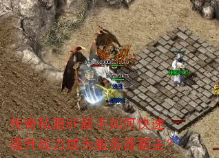 传奇私服SF新手如何快速提升战力成为服务器霸主? 传奇私服SF新手如何快速提升战力成为服务器霸主?
