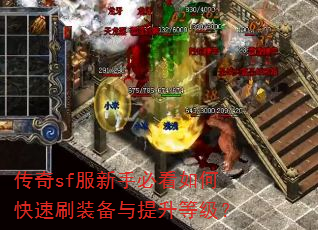 传奇sf服新手必看如何快速刷装备与提升等级? 传奇sf服新手必看如何快速刷装备与提升等级?