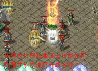 仿盛大传奇私服连击技能如何搭配才能快速提升战斗效率? 仿盛大传奇私服连击技能如何搭配才能快速提升战斗效率?