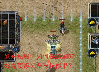 ��ɱ˽������ο���ˢBOSS������װ���뼼���飿
