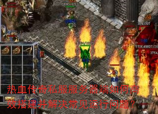 ��Ѫ����˽������������θ�Ч�����������������⣿