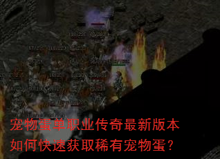 宠物蛋单职业传奇最新版本如何快速获取稀有宠物蛋? 宠物蛋单职业传奇最新版本如何快速获取稀有宠物蛋?