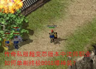 ����˽������̬�汾�з�ʦְҵ��ε�ˢ�ռ�BOSS����װ��