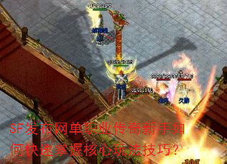 SF发布网单职业传奇新手如何快速掌握核心玩法技巧? SF发布网单职业传奇新手如何快速掌握核心玩法技巧?