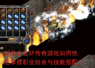 �¿��ϻ�SF������Ϸ��ο�������ְҵ����뼼�ܴ��䣿