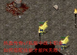 ��Ѫ����sf˽����սʿְҵ��δ��似�ܲ���PK�޵У�