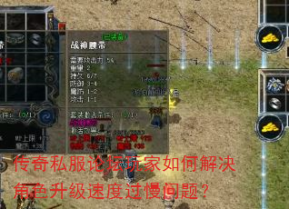 传奇私服论坛玩家如何解决角色升级速度过慢问题? 传奇私服论坛玩家如何解决角色升级速度过慢问题?