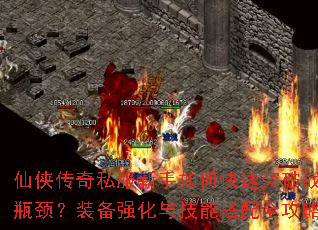 ��������˽��������ο���ͻ��ս��ƿ����װ��ǿ���뼼�ܴ���ȫ���ԣ�