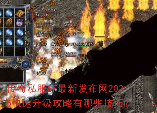 传奇私服SF最新发布网2025快速升级攻略有哪些技巧? 传奇私服SF最新发布网2025快速升级攻略有哪些技巧?