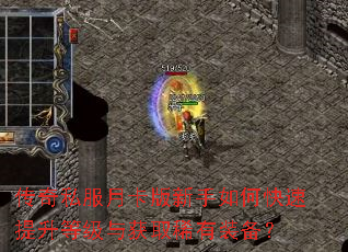传奇私服月卡版新手如何快速提升等级与获取稀有装备? 传奇私服月卡版新手如何快速提升等级与获取稀有装备?