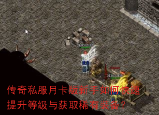 传奇私服月卡版新手如何快速提升等级与获取稀有装备? 传奇私服月卡版新手如何快速提升等级与获取稀有装备?