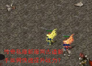 传奇私服新服网古道新手如何快速提升战力? 传奇私服新服网古道新手如何快速提升战力?