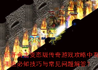 新开合击变态版传奇游戏攻略中有哪些必知技巧与常见问题解答? 新开合击变态版传奇游戏攻略中有哪些必知技巧与常见问题解答?