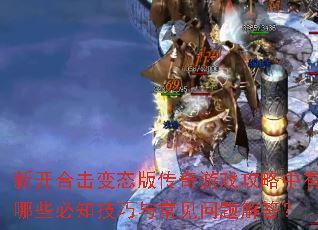 新开合击变态版传奇游戏攻略中有哪些必知技巧与常见问题解答? 新开合击变态版传奇游戏攻略中有哪些必知技巧与常见问题解答?