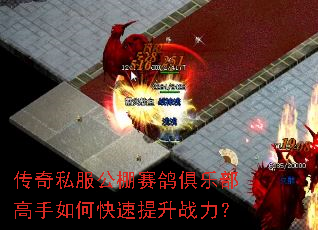 传奇私服公棚赛鸽俱乐部高手如何快速提升战力? 传奇私服公棚赛鸽俱乐部高手如何快速提升战力?
