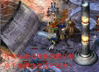 传奇私服公棚赛鸽俱乐部高手如何快速提升战力? 传奇私服公棚赛鸽俱乐部高手如何快速提升战力?