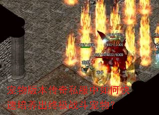 宠物版本传奇私服中如何快速培养出终极战斗宠物? 宠物版本传奇私服中如何快速培养出终极战斗宠物?