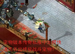 宠物版本传奇私服中如何快速培养出终极战斗宠物? 宠物版本传奇私服中如何快速培养出终极战斗宠物?