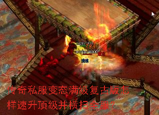 ����˽����̬�������Ű�����������������ɨȫ����