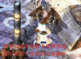 传奇私服SF吧新手如何快速提升战力?实用技巧全解析 传奇私服SF吧新手如何快速提升战力?实用技巧全解析
