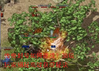 传奇封号如何速成?顶级玩家揭秘高效获取秘诀 传奇封号如何速成?顶级玩家揭秘高效获取秘诀