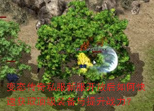 变态传奇私服新服开放后如何快速获取顶级装备与提升战力? 变态传奇私服新服开放后如何快速获取顶级装备与提升战力?