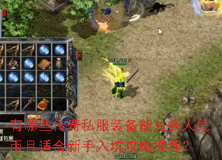 有哪些传奇私服装备能兑换人民币且适合新手入坑攻略推荐? 有哪些传奇私服装备能兑换人民币且适合新手入坑攻略推荐?