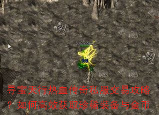 寻宝天行热血传奇私服交易攻略?如何高效获取珍稀装备与金币 寻宝天行热血传奇私服交易攻略?如何高效获取珍稀装备与金币