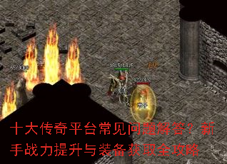 ʮ����ƽ̨��������������ս��������װ����ȡȫ����