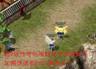��V�洫��˽�������̬��������ο���ˢBOSS����װ��