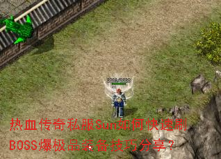 热血传奇私服Sun如何快速刷BOSS爆极品装备技巧分享? 热血传奇私服Sun如何快速刷BOSS爆极品装备技巧分享?