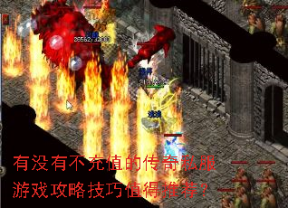 有没有不充值的传奇私服游戏攻略技巧值得推荐? 有没有不充值的传奇私服游戏攻略技巧值得推荐?