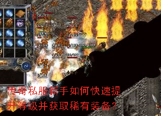 传奇私服新手如何快速提升等级并获取稀有装备? 传奇私服新手如何快速提升等级并获取稀有装备?