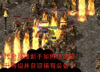 传奇私服新手如何快速提升等级并获取稀有装备? 传奇私服新手如何快速提升等级并获取稀有装备?