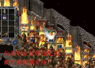 仙单职业如何搭配技能才能称霸全服? 仙单职业如何搭配技能才能称霸全服?